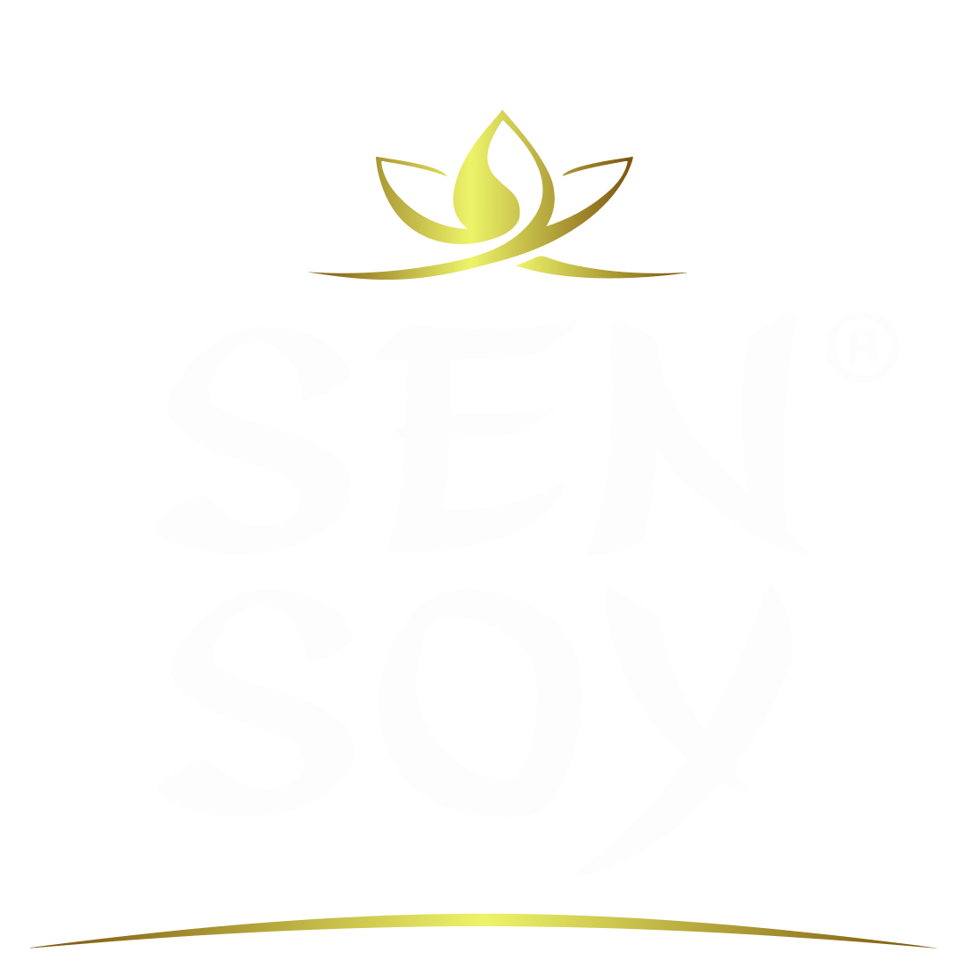 Media Direction и Method Media подняли конверсии Sen Soy почти в 6 раз, связав ТВ и онлайн